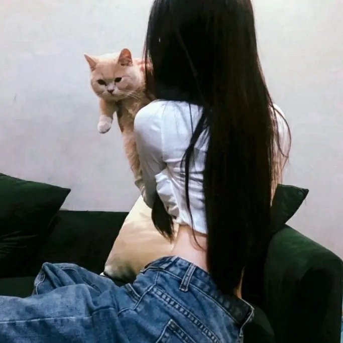 蝶恋花
