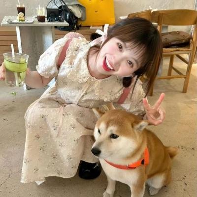 三全其美